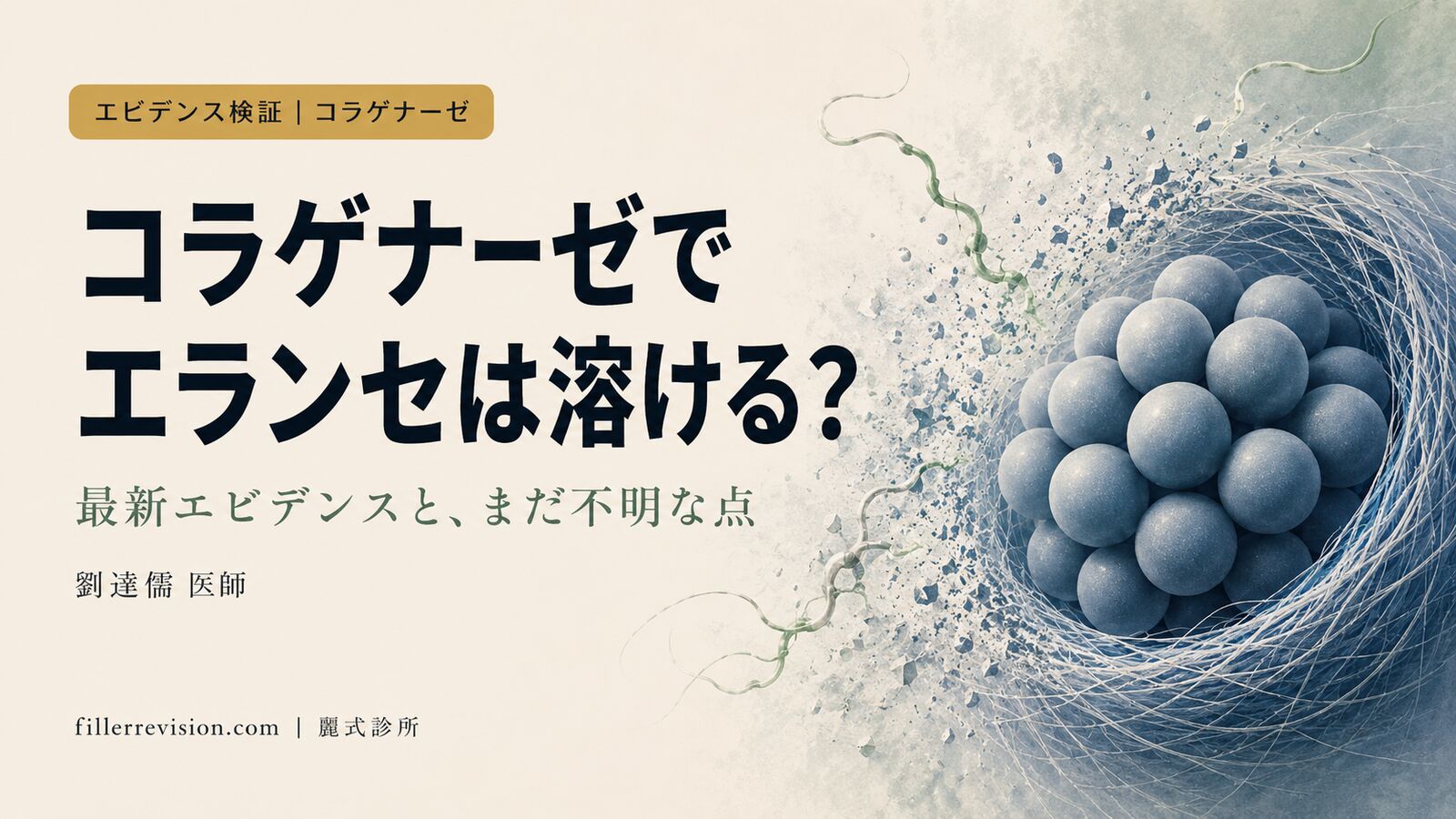 コラゲナーゼでエランセ(PCL)は溶かせる?最新エビデンスと、まだはっきりしないこと