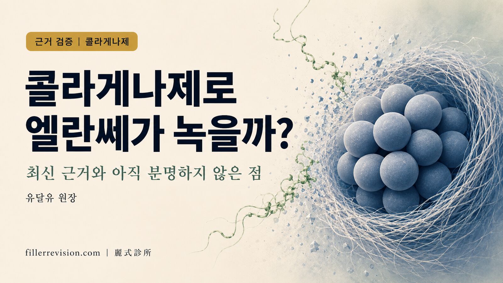 콜라게나제로 엘란쎄(PCL)를 녹일 수 있을까? 최신 근거와 아직 분명하지 않은 것들