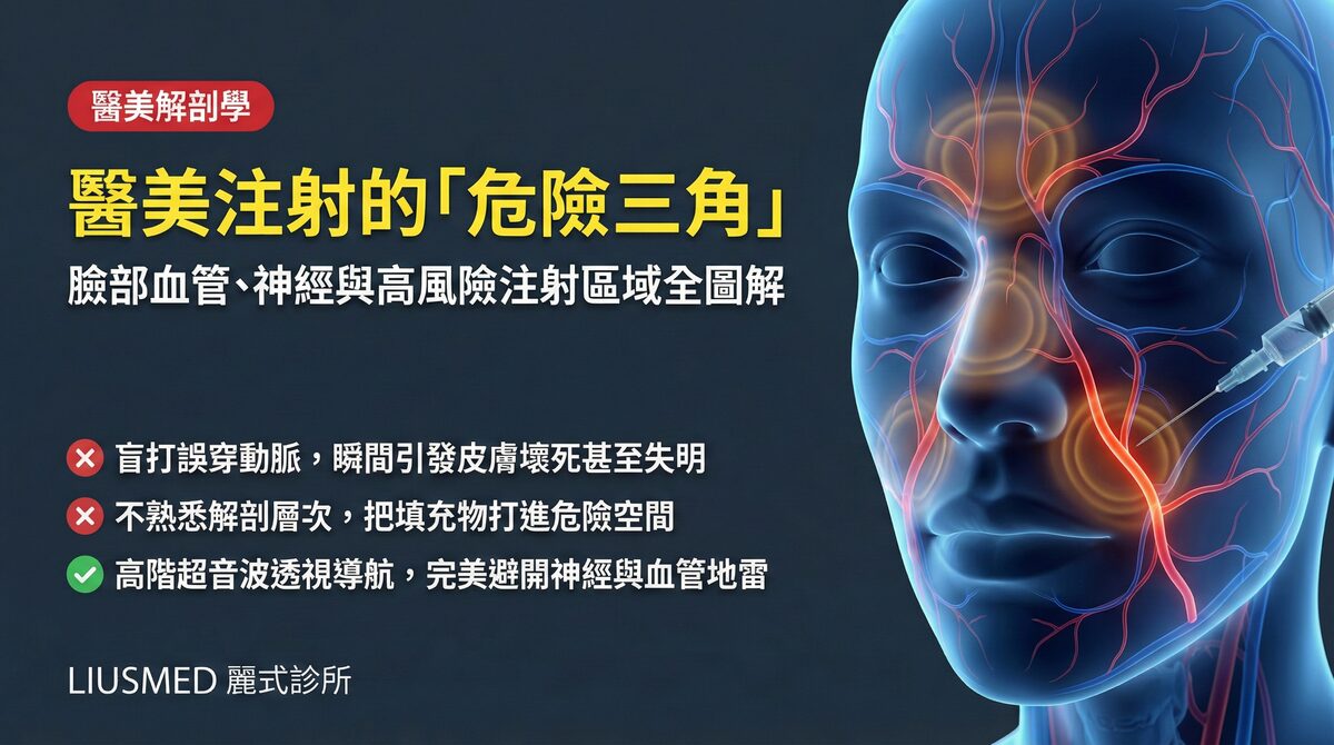 臉部注射危險區域:FILLER REVISION 的血管與神經解剖完整圖解