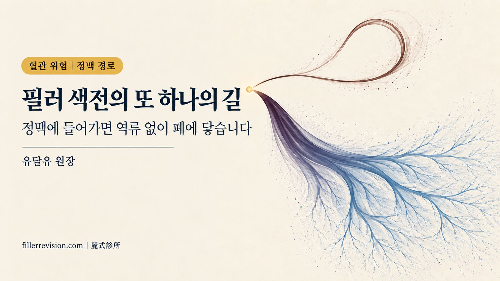 필러 색전에는 동맥 말고 또 하나의 길이 있습니다: 정맥에 들어가면 그대로 폐까지 흘러갑니다