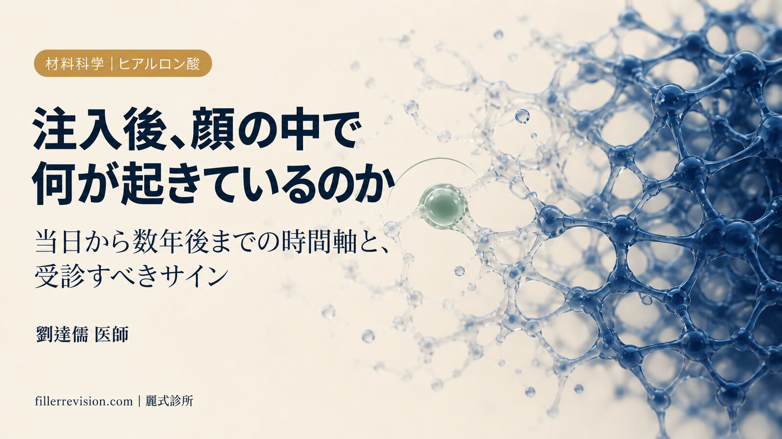 ヒアルロン酸を注入したあと、顔の中で何が起きているのか — 当日から数年後までの時間軸と、すぐ受診すべきサイン