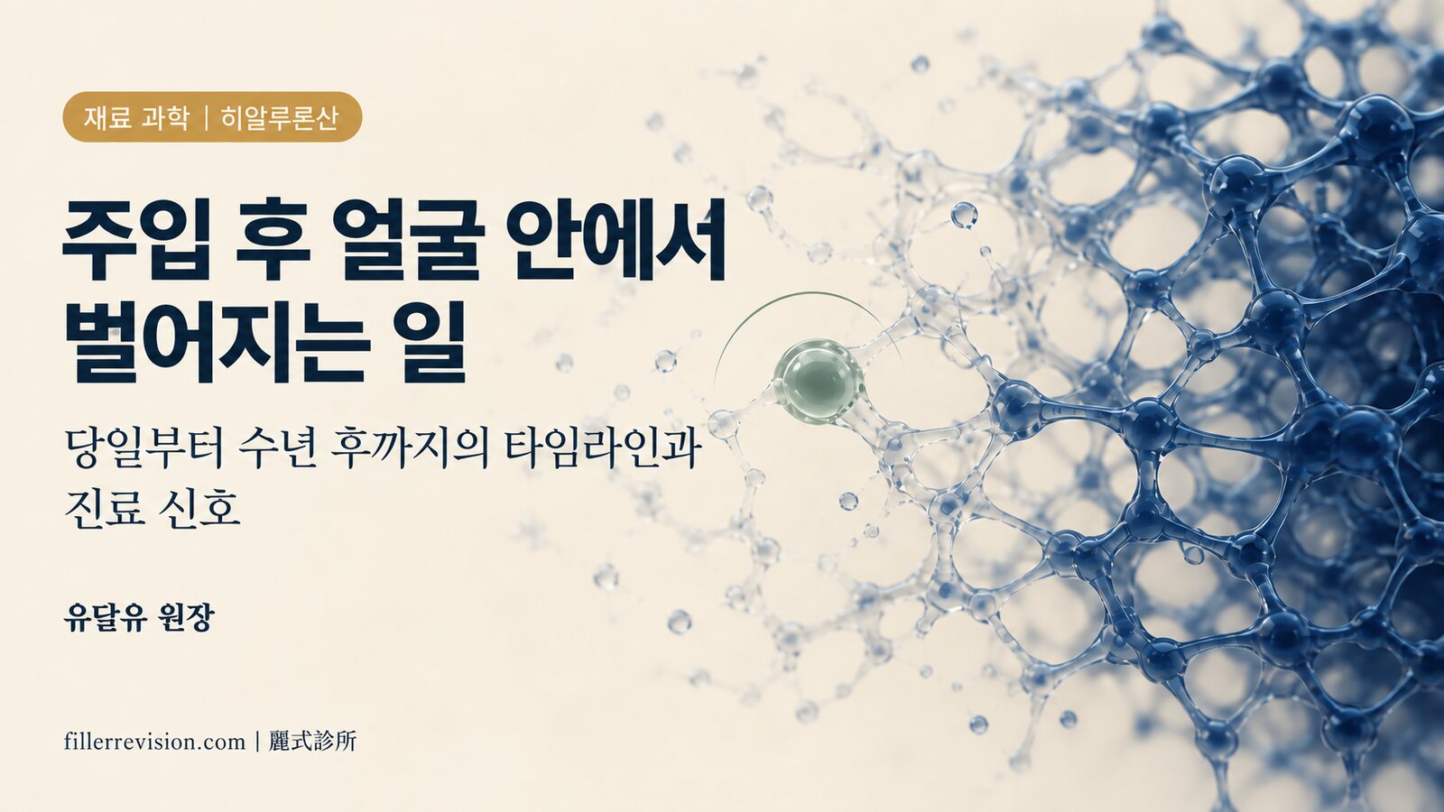 히알루론산을 주입한 뒤 얼굴 안에서 벌어지는 일 — 당일부터 수년 후까지의 타임라인과 즉시 진료가 필요한 신호