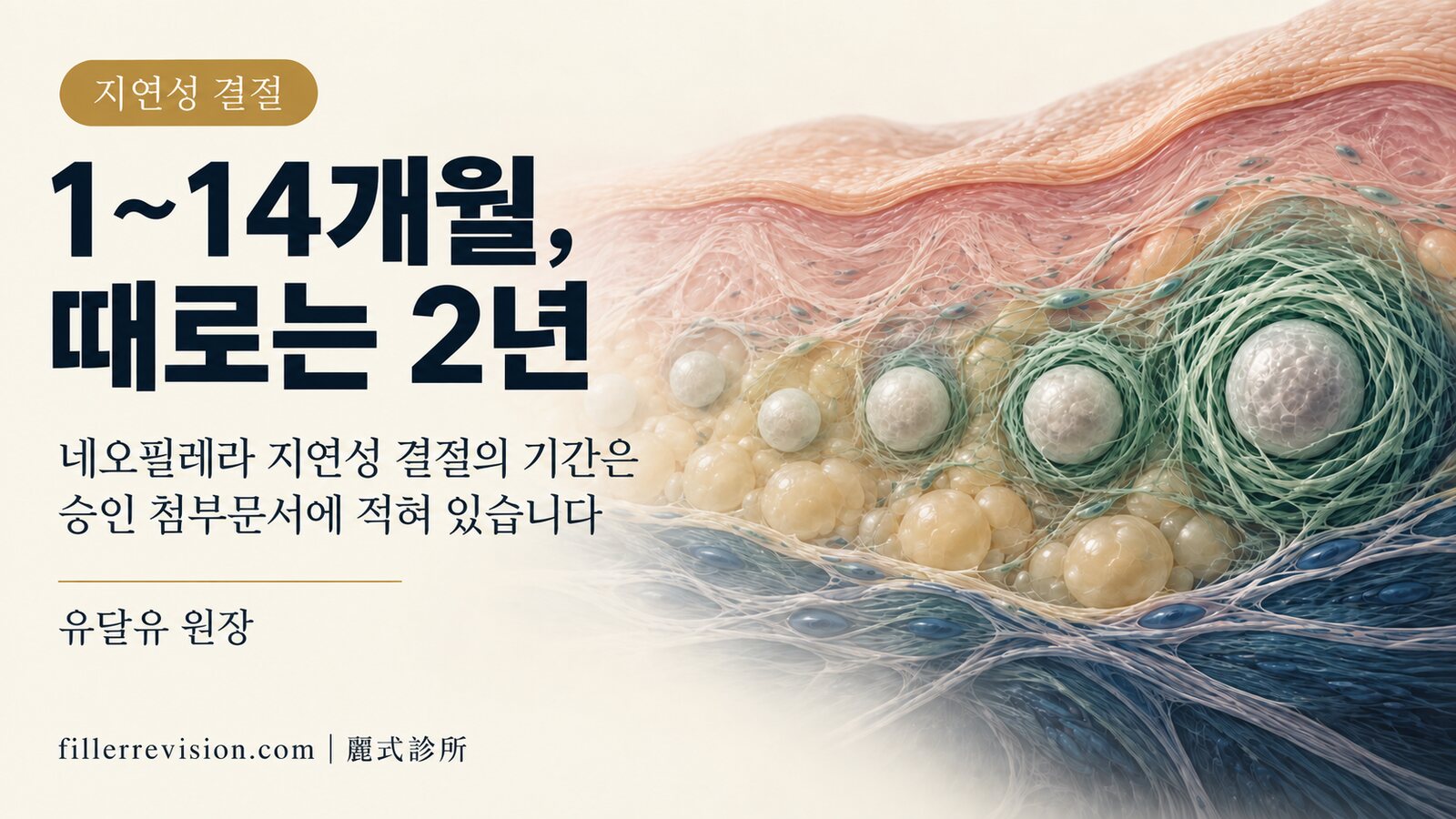 네오필레라 후 멍울? 첨부문서가 제시한 1~14개월이라는 기간