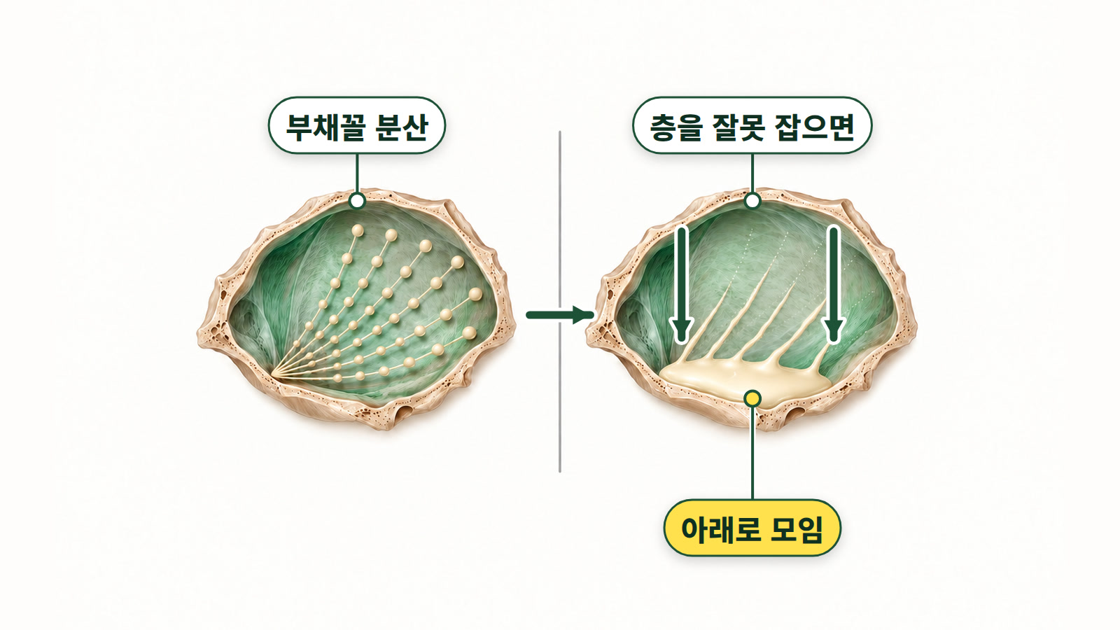 그림: 왼쪽은 부채꼴 주입으로 평면 위에 퍼진 상태. 오른쪽은 층을 잘못 잡은 경우로, 같은 부채꼴이라도 시간이 지나면 그릇 바닥에 모입니다.