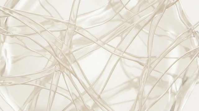 膠原蛋白填充物