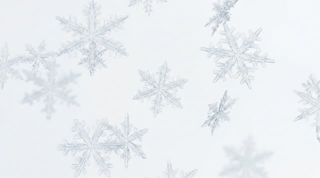 舒顏萃 / 精靈針